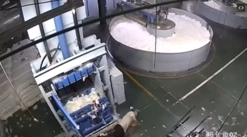 Công nhân gặp sự cố khi làm việc gần máy chế biến bông trong nhà máy dệt may