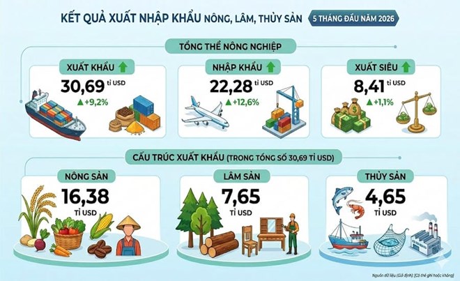 Kết quả xuất nhập khẩu nông, lâm, thủy sản 5 tháng đầu năm 2026. Đồ họa: TKTS