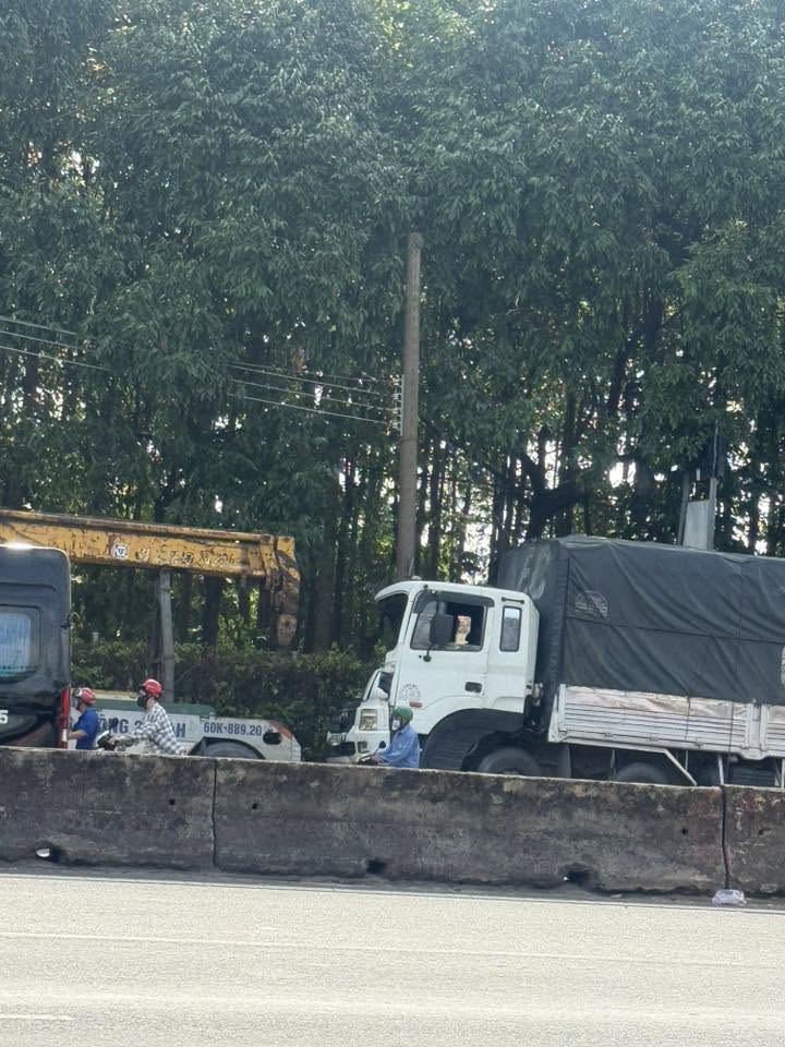 TNGT QL51 đoạn chợ long phú, phước thái, long thành