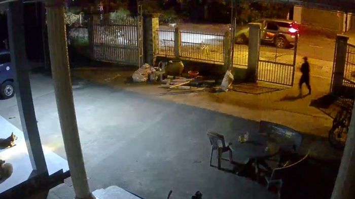 Truy xét nhóm đối tượng lái ô tô đi trộm chó ở TP.HCM