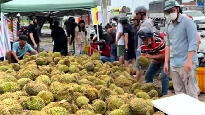 Mua sầu riêng non ‘giải cứu’ ven đường ở TP.HCM, người tiêu dùng lãnh đủ