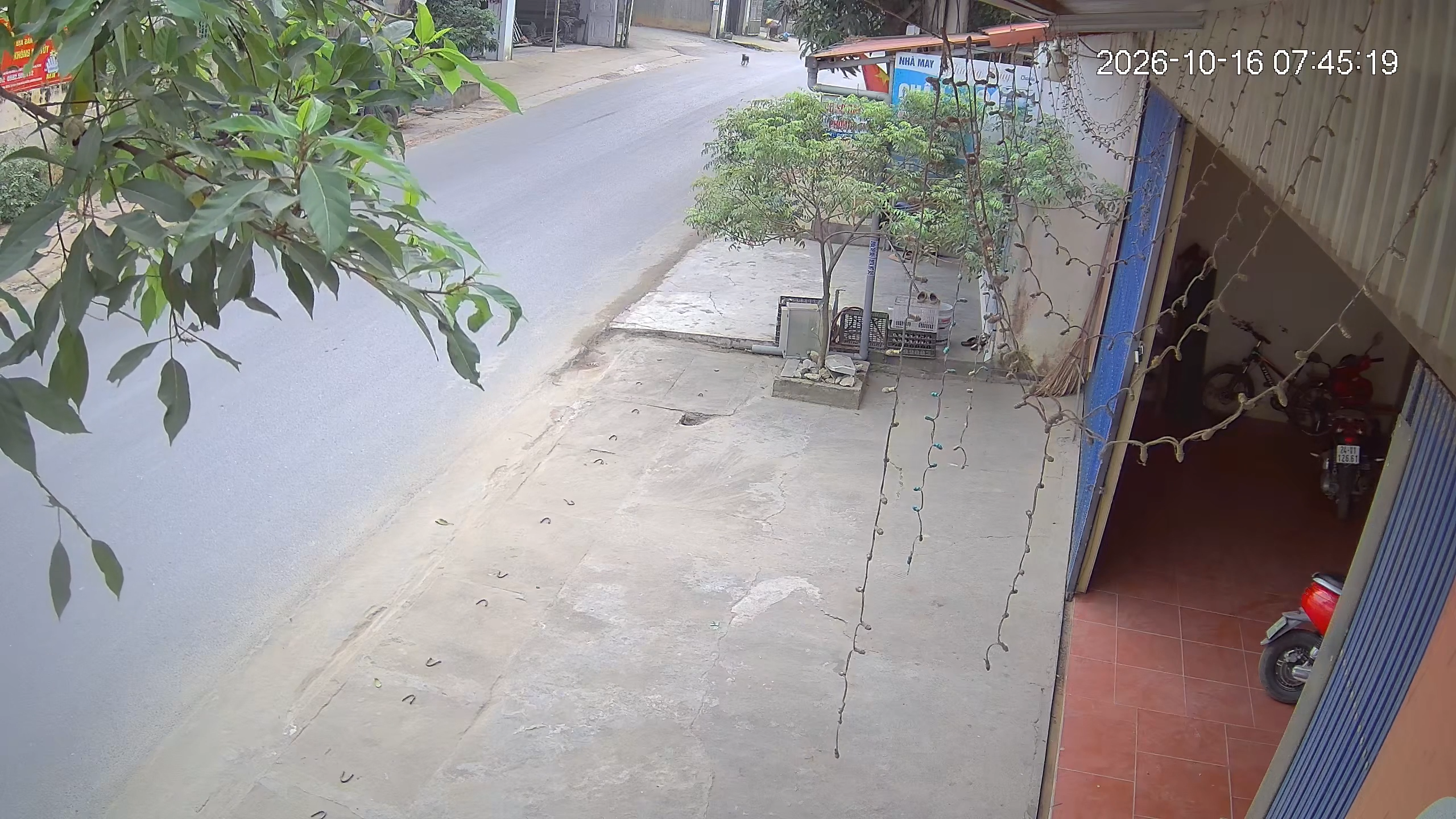 Video vụ TNGT  sáng nay xảy ra tại xã Văn Bàn